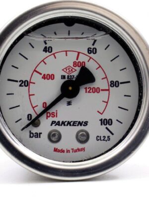 PAKKENS Arka Bağlantılı Gliserinli Manometre Ø100 mm 100 Bar