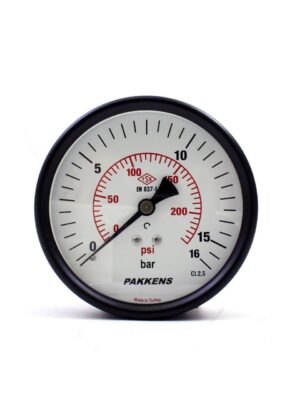 PAKKENS Arka Bağlantılı Manometre Ø100 mm 16 Bar