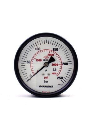 PAKKENS Arka Bağlantılı Kuru Tip Manometre Ø100 mm 250 Bar