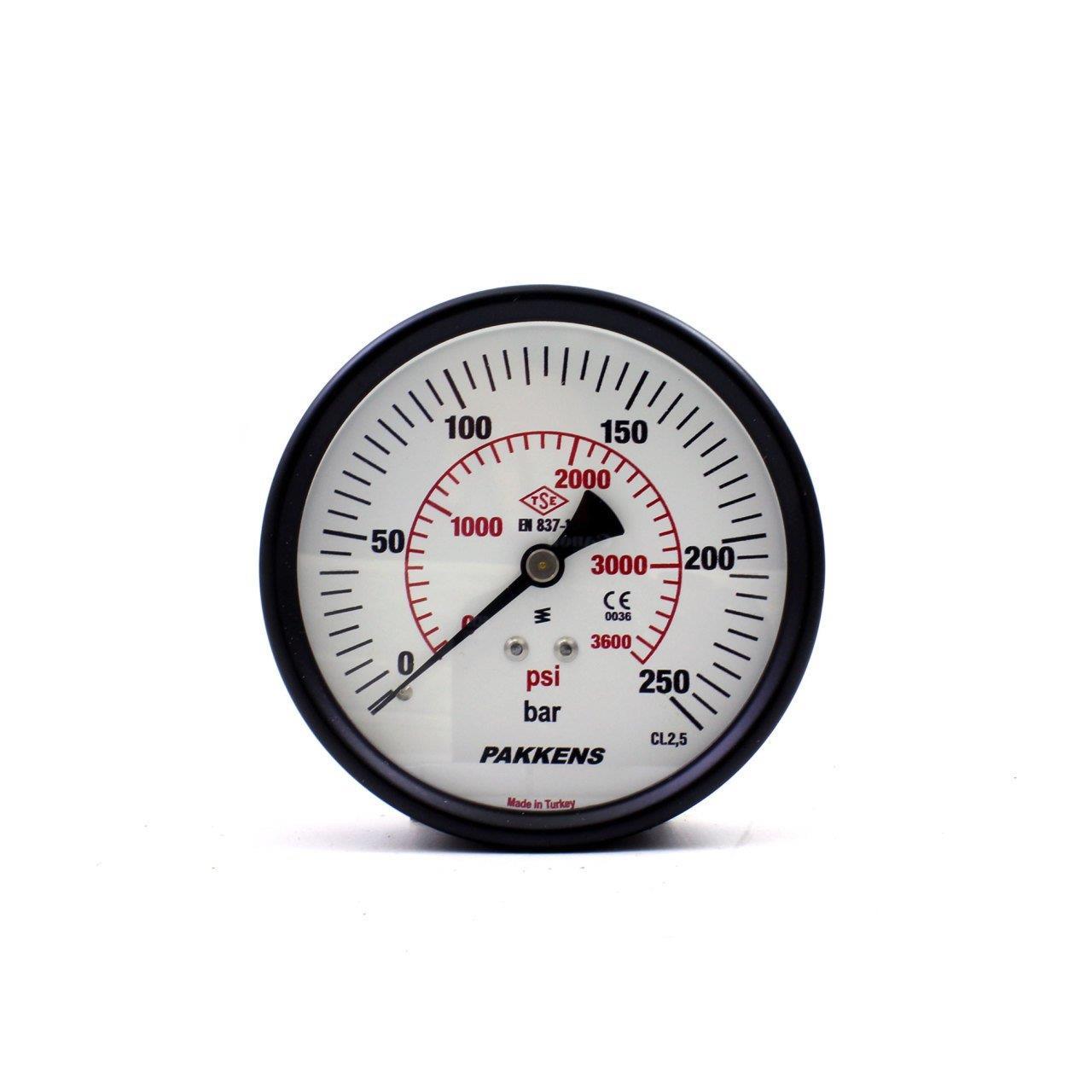 PAKKENS Arka Bağlantılı Kuru Tip Manometre Ø100 mm 250 Bar 1/4''