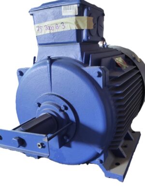 DEG DRIVE Elektrik Motoru 75 kW 2975 d/d IE2
