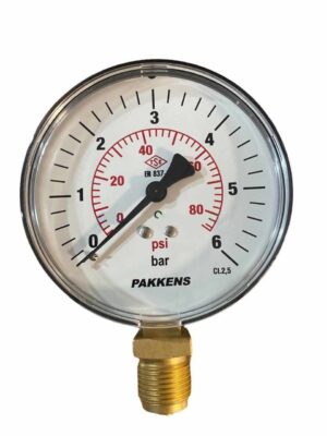 PAKKENS Alt Bağlantılı Kuru Tip Manometre Ø100 mm 0.6 Bar