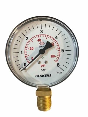 PAKKENS Alt Bağlantılı Manometre Ø100 mm 6 Bar