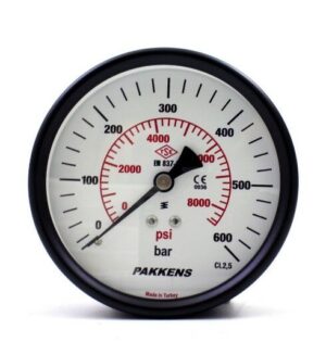 PAKKELS Arka Bağlantılı Manometre 600 Bar 1/4'' Ø63