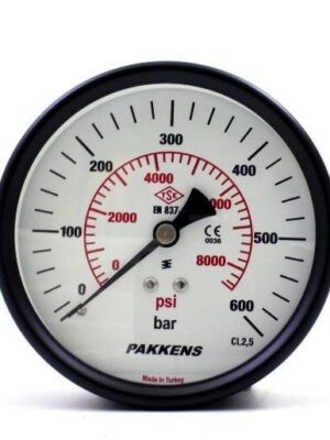PAKKELS Arka Bağlantılı Manometre 600 Bar 1/4 Ø63