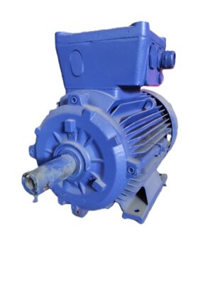 Marelli Motori Ex-Proof Elektrik Motoru 18.5 kW
