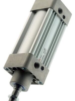 BLUETECH Pnömatik Piston 50 X 125