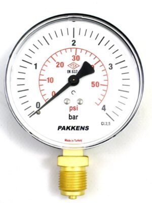 PAKKENS Alt Bağlantılı Kuru Tip Manometre R 1/4 4 Bar 50 mm