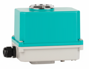 DMS Elektrikli Aktüatör 30Nm 24V DC