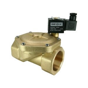 GEVAX 1901-KBNI010-500-G220AC Solenoid Valf