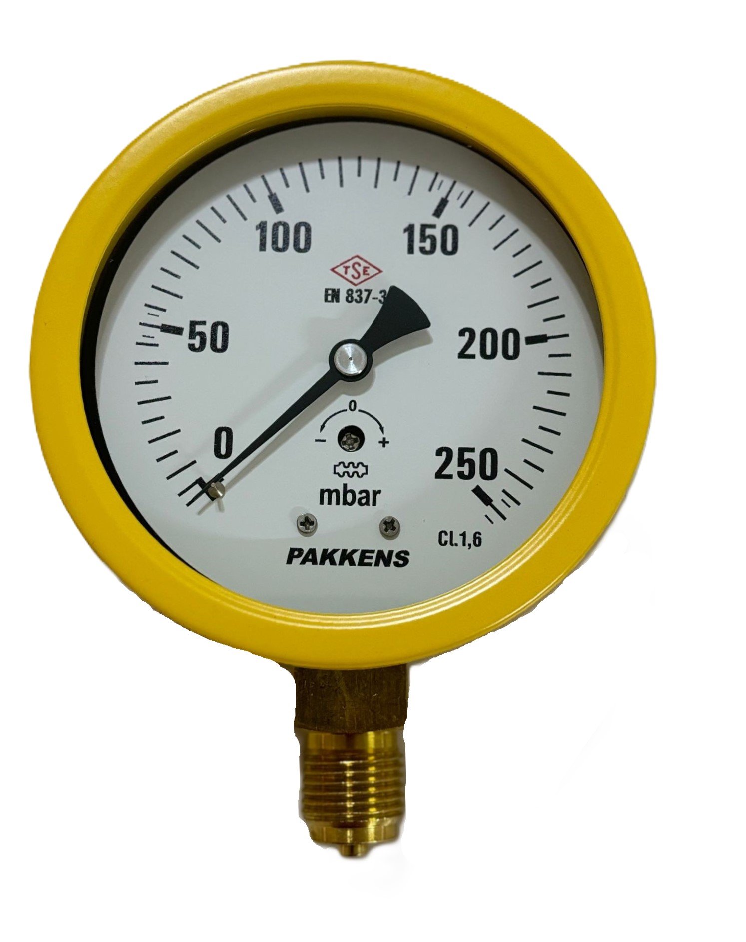 PAKKENS Alt Bağlantılı Kapsül Diyaframlı Manometre Ø100 mm 250 mBar 1/2''