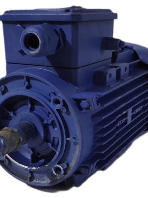 KSB Elektrik Motoru 1.5 kW 2890 d/d IE2 B14 Flanşlı