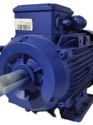 KSB Elektrik Motoru 5.5 kW 2935 d/d IE2 B3 Ayaklı