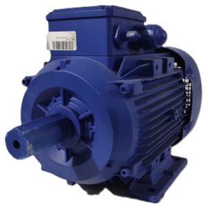 KSB Elektrik Motoru 5.5 kW 2935 d/d IE2 B3 Ayaklı
