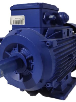 KSB Elektrik Motoru 5.5 kW 2935 d/d IE2 B3 Ayaklı