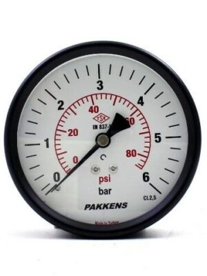 PAKKENS Arka Bağlantılı Manometre Ø100 mm 6 Bar