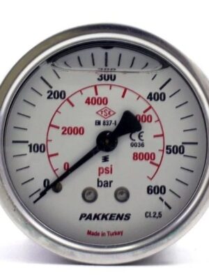 PAKKENS Arka Bağlantılı Gliserinli Manometre 100 mm 600 Bar