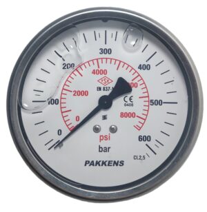 PAKKENS Arka Bağlantılı Gliserinli Manometre Ø100 mm 600 Bar 1/2''