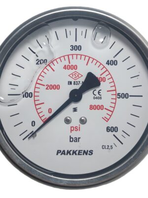 PAKKENS Arka Bağlantılı Gliserinli Manometre Ø100 mm 600 Bar