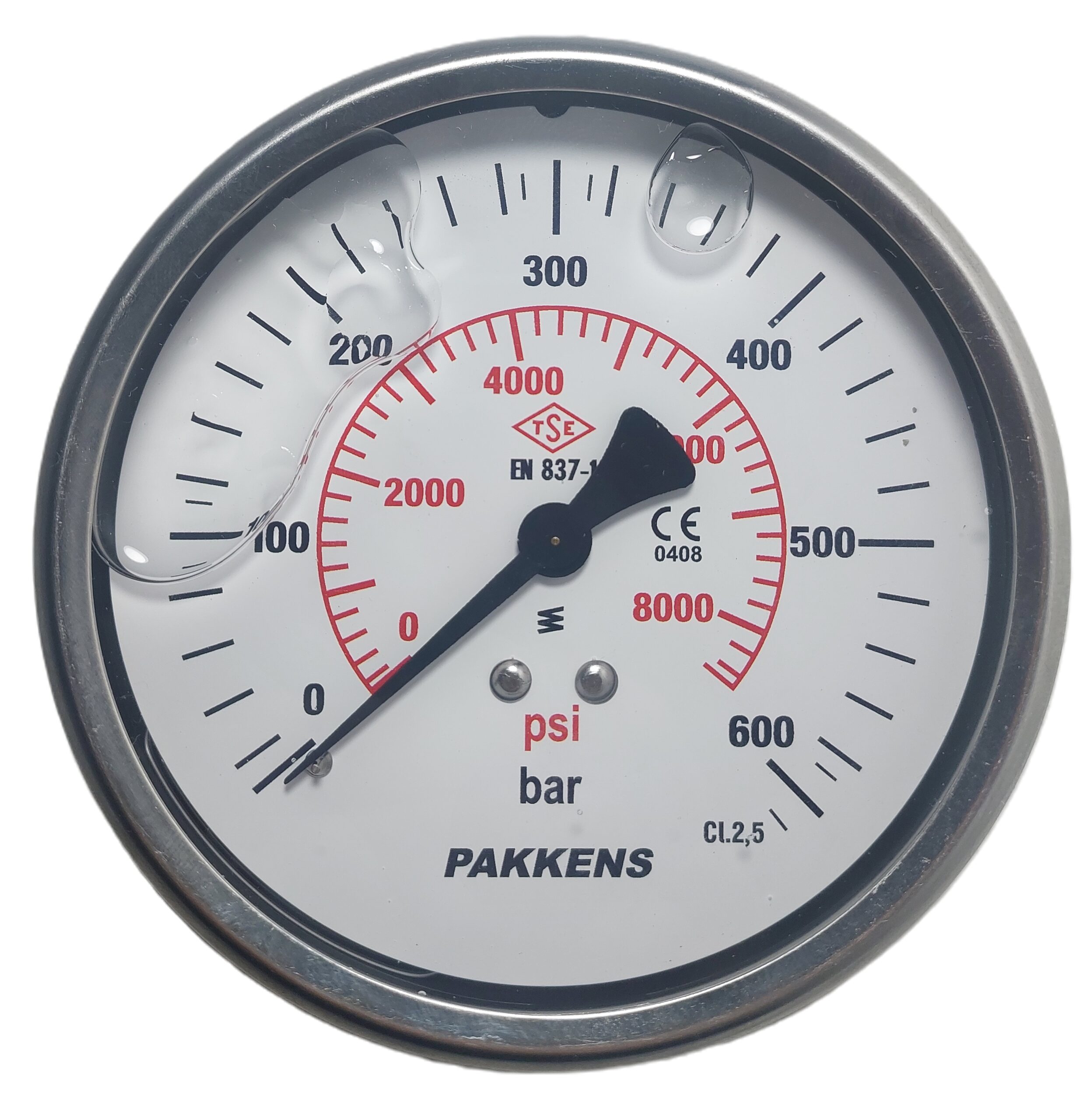 PAKKENS Arka Bağlantılı Gliserinli Manometre Ø100 mm 600 Bar