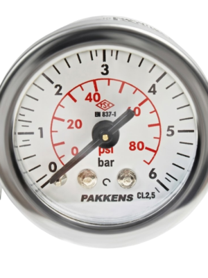 Pakkens Arka Bağlantılı Pano Tipi Manometre Ø40mm 6 bar