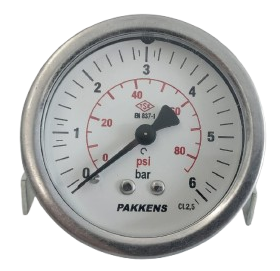 PAKKENS Arka Bağlantılı Pano Tipi Manometre Ø63mm 6 bar 1/4 Cl 2,5