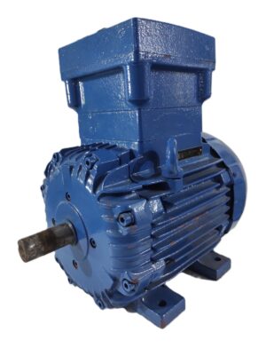WEG Ex-Proof Elektrik Motoru 4 kW 1450 d/d IE2 B3 Ayaklı