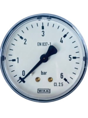 WIKA 111.12.100 Arka Bağlantılı Manometre Ø100mm 6 Bar