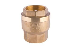 Klepsan Yaylı Dik Çekvalf 4'' PN16