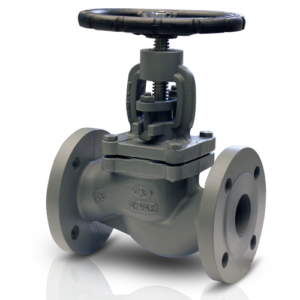 AYVAZ GV-25Z Baskılı Glob Vana PN25