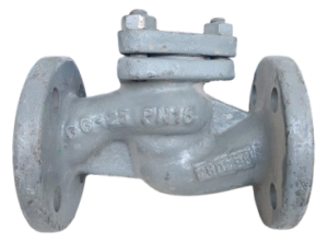 DN25